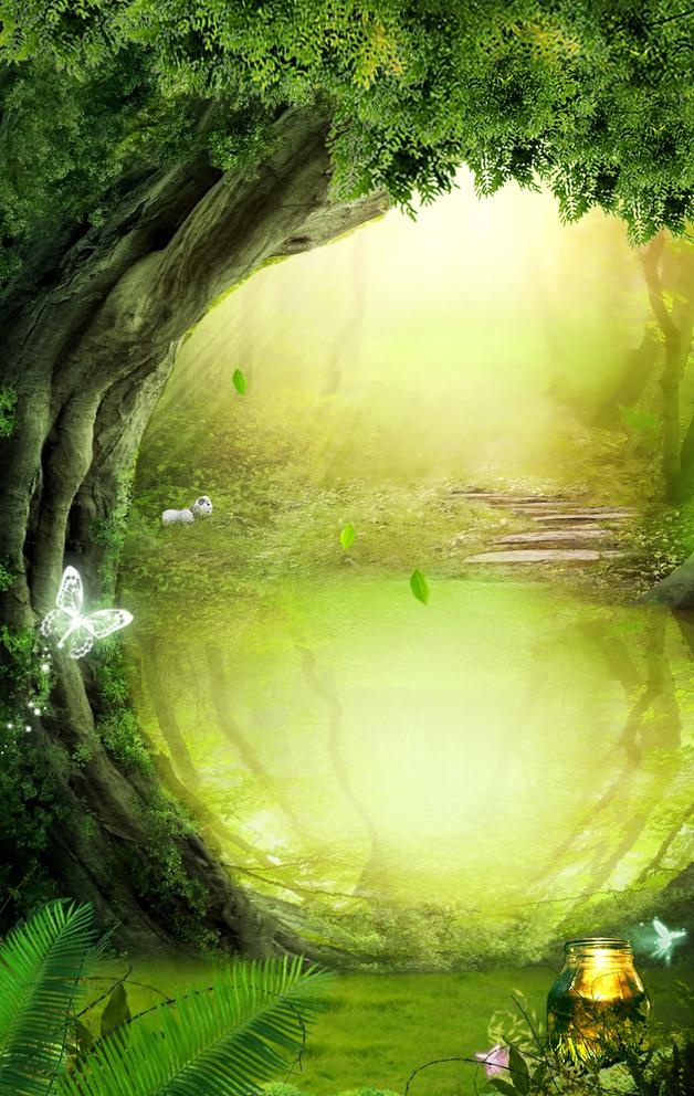 梦幻深林图片