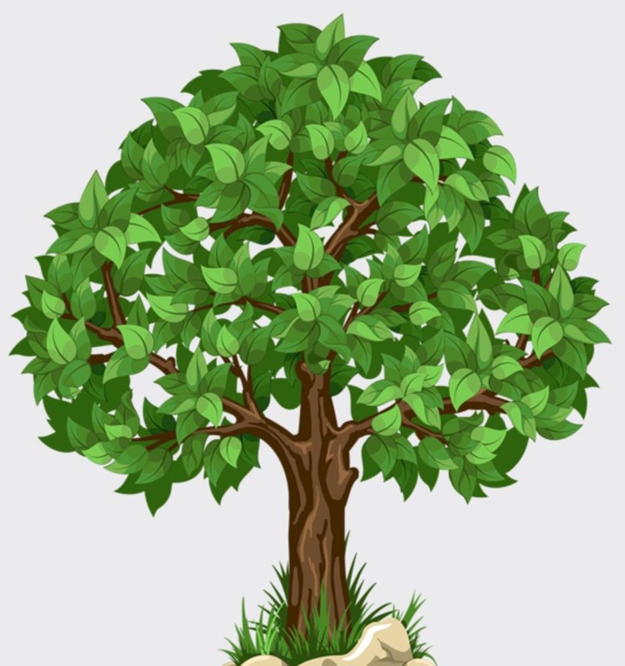 树图片