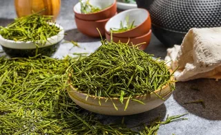 安吉白茶摄影素材图片