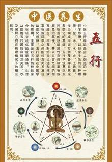 中医五行养生图片