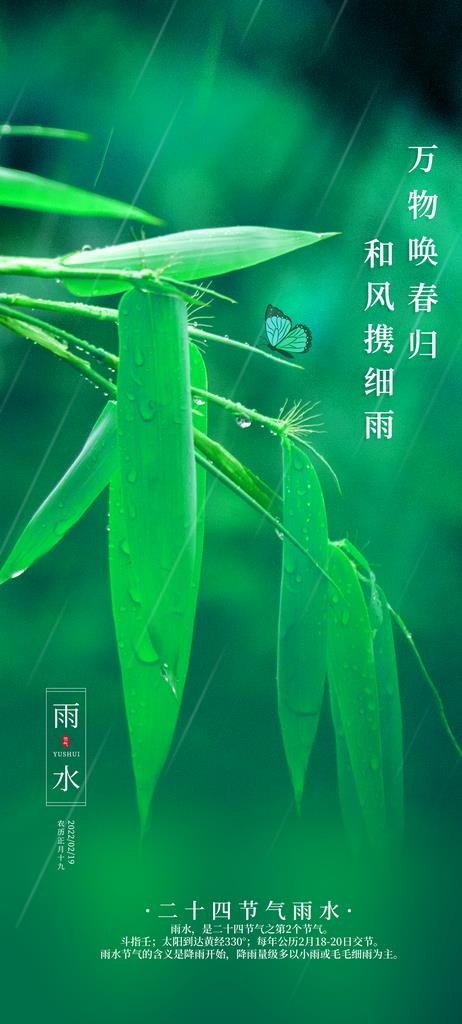 雨水图片(1242x2573)psd模版下载
