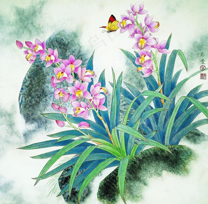兰花图片