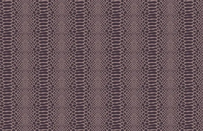 动物纹素材图片