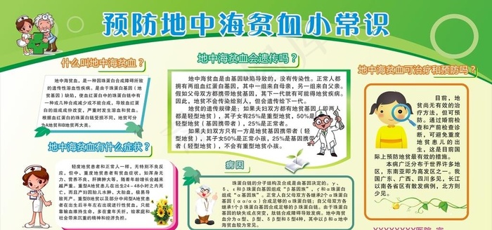 地中海贫血常识图片