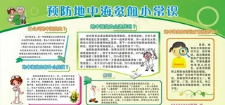 地中海贫血常识图片