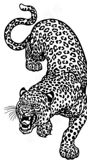 黑白帅气豹子 酷豹 豹子 印花图片