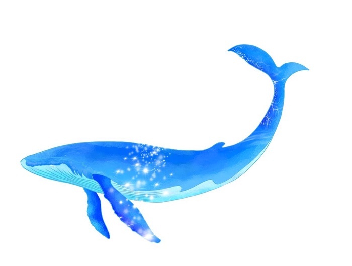 大鱼海棠鲸鱼图片