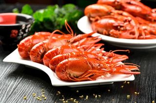 龙虾图片