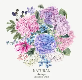 花卉图片 花卉图片
