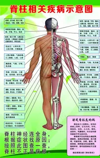 人体经络图图片