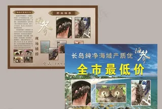 海参宣传单页图片