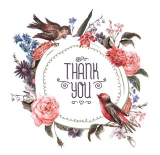 水彩花鸟感恩卡矢量素材图片