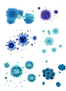 细菌图片 细菌图片