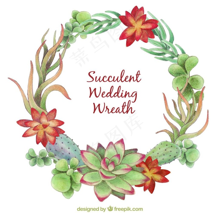 水彩多肉植物图片