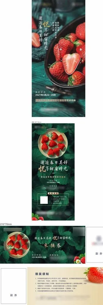 摘草莓活动海报图片cdr矢量模版下载