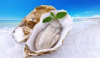 大西洋特级生蚝图片