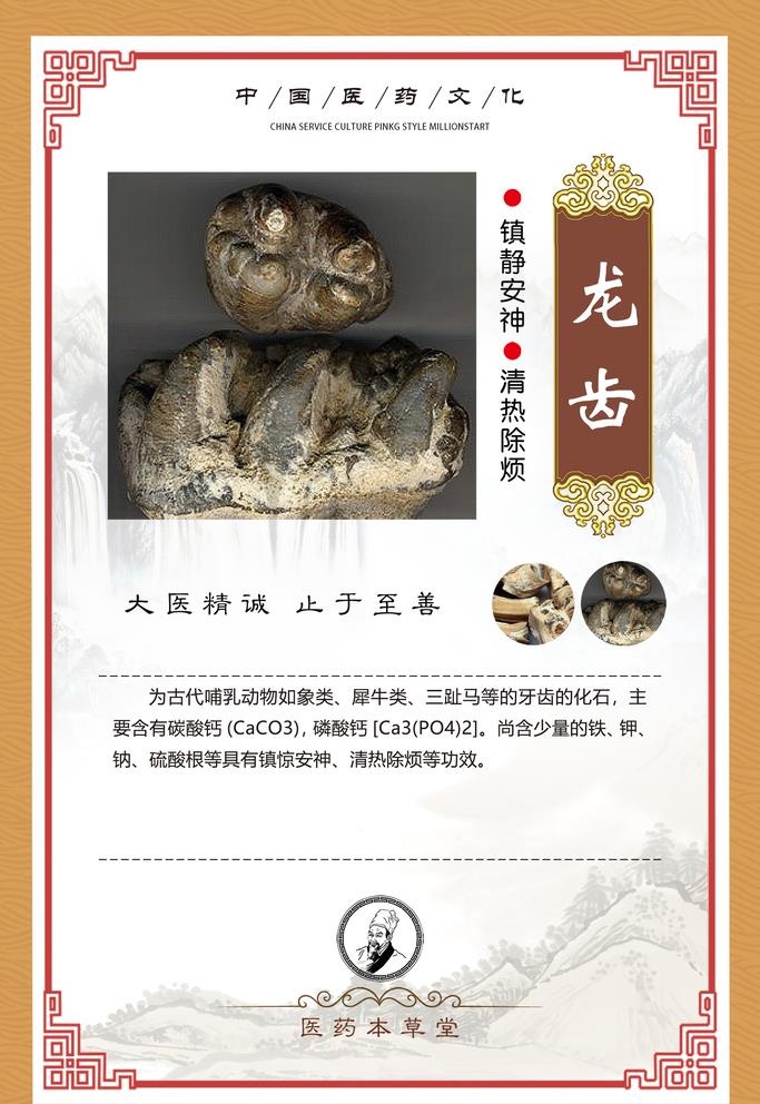 中药材草药药效功能简介 龙齿图片(1772x2658)psd模版下载