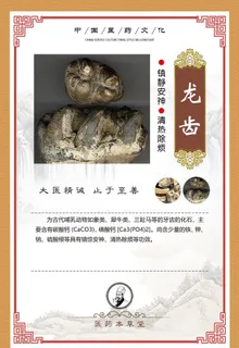 中药材草药药效功能简介 龙齿图片