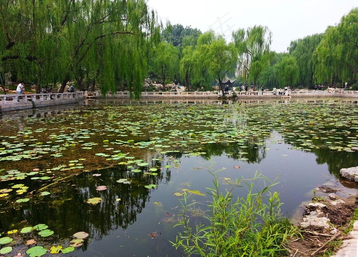 园林水景图片