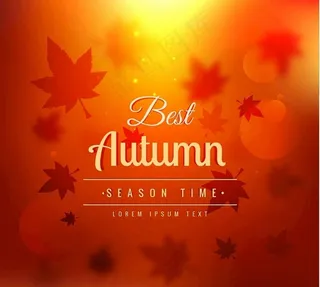 秋天背景叶子温暖色调图片