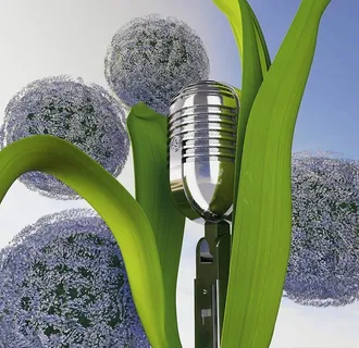 C4D模型麦克风紫色绣球花图片