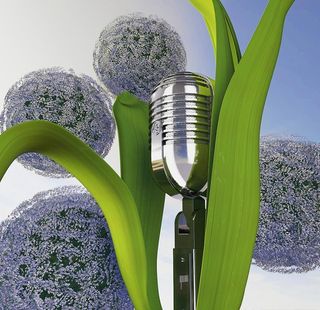 C4D模型麦克风紫色绣球花图片