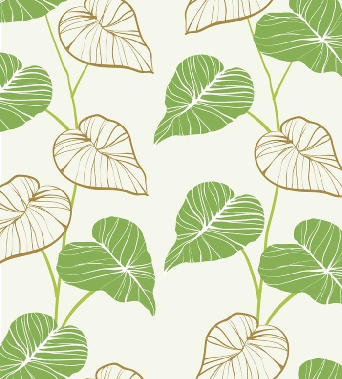 手绘树叶插画图片