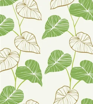 手绘树叶插画图片