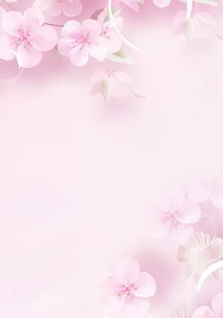 粉色背景图片