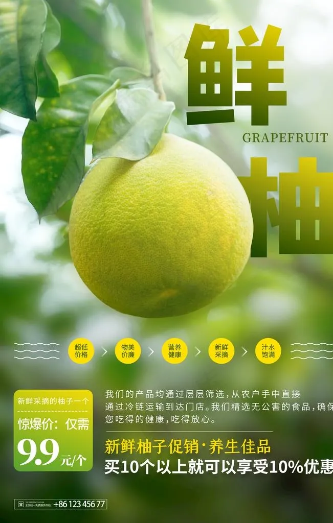 柚子图片(2480x3720)psd模版下载