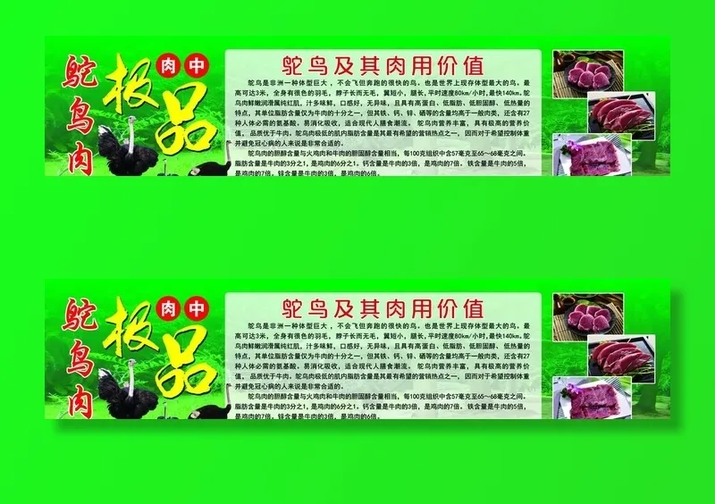 鸵鸟展板图片psd模版下载