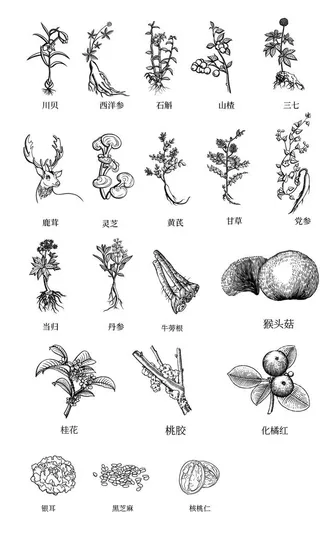 中草药手绘图片