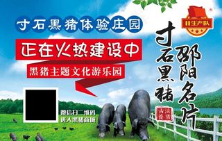 黑猪养殖场建设中海报图片