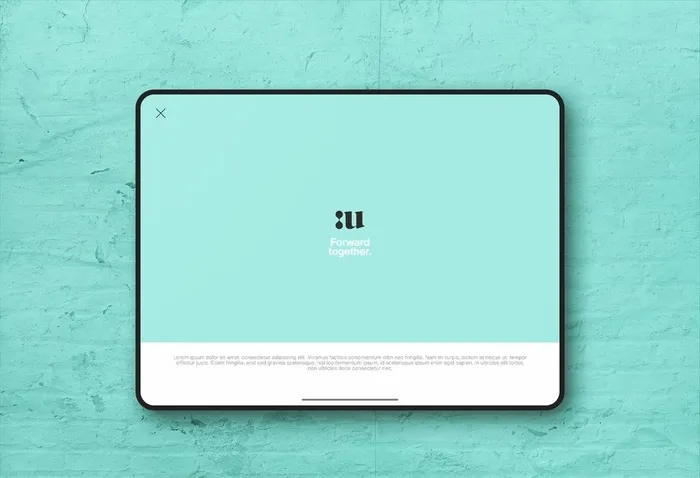 ipad pro展示样机图片(2800x2000)psd模版下载