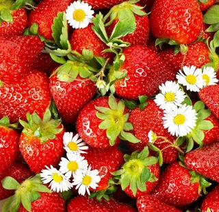 新鲜草莓素材图片