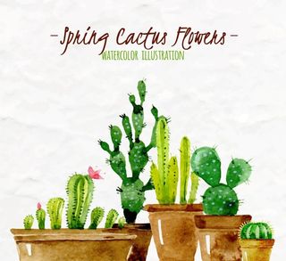 彩绘仙人掌多肉植物盆栽矢量素材图片