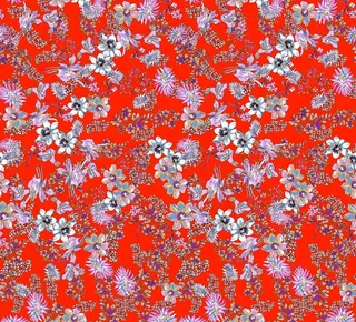 动物 豹子 凶猛 非洲 老虎图片