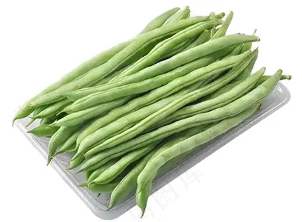 四季豆图片