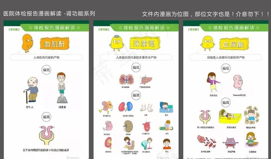 医院体检报告漫画解读 肾功能图片