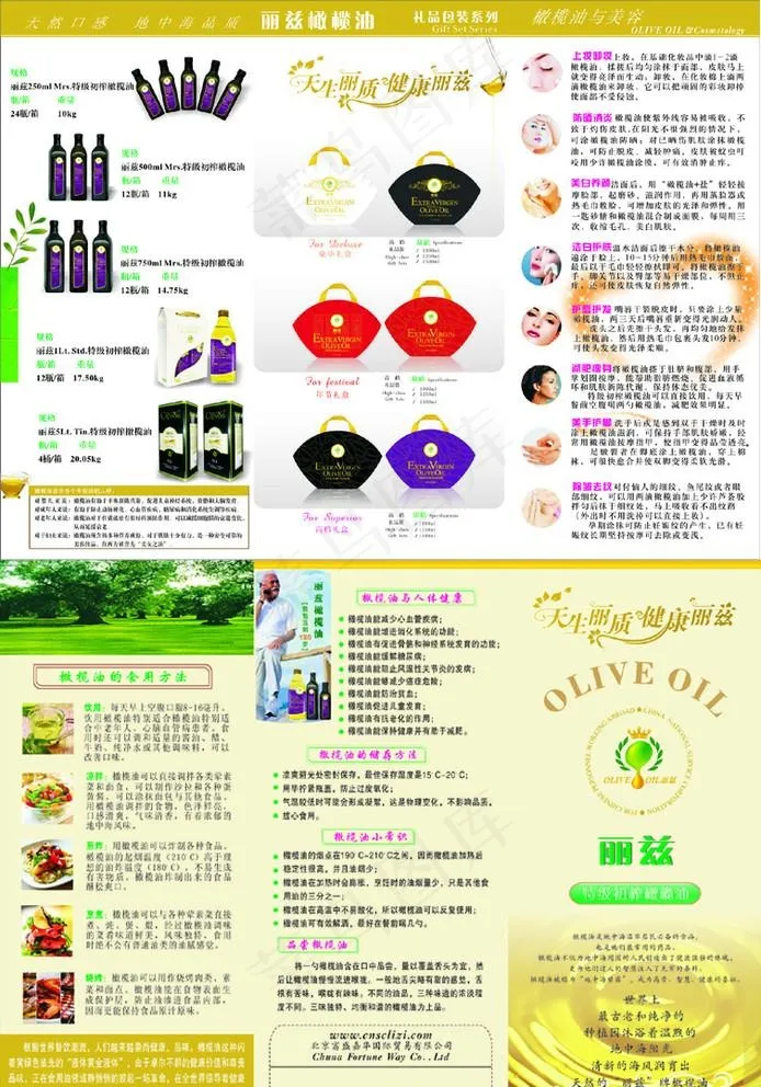 丽兹宣传单图片cdr矢量模版下载