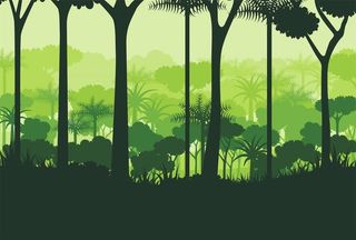 森林背景图片