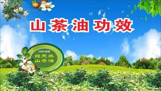 山茶油功效图片