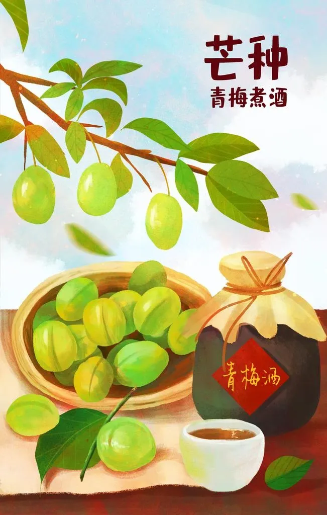 芒种海报图片(1701x2551)psd模版下载