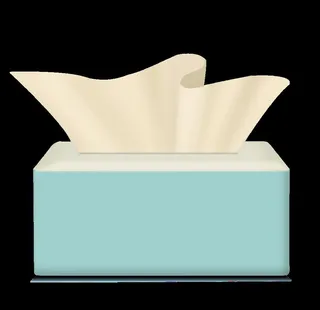 原浆实物手绘纸巾图片