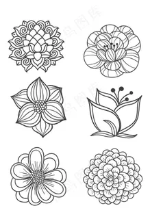 植物花朵花纹图片