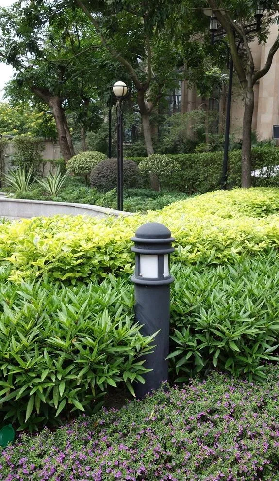 草坪灯图片