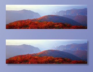青天河靳家岭红叶图片