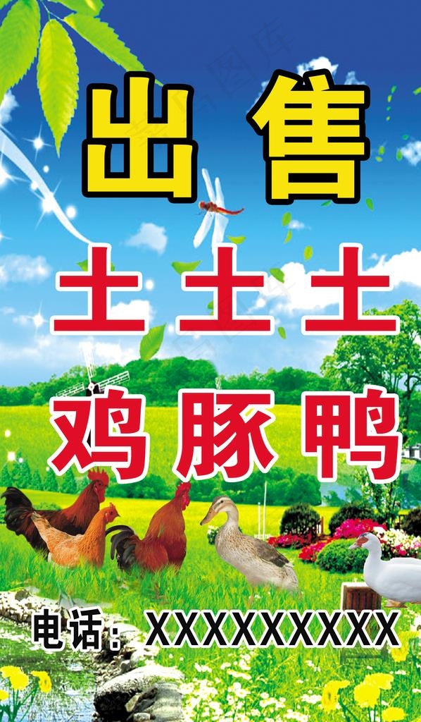 出售土鸡图片(4724x7677)psd模版下载