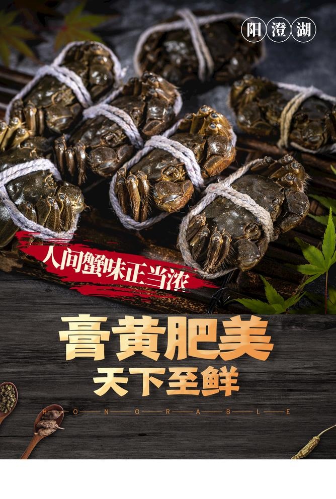 大闸蟹图片psd模版下载