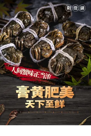 大闸蟹图片